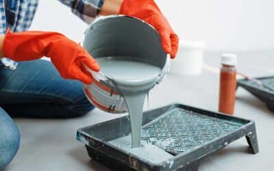 Essential House Painting Supplies In Christchurch