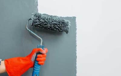 How To Maintain Your House Painting In Christchurch